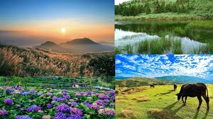 阳 (simplified form of 陽). ä¾†é»žsense é™½æ˜Žå±±ä¸åªç«¹å­æ¹– 2020å°åŒ—é™½æ˜Žå±±æ™¯é»žæŽ¨è–¦