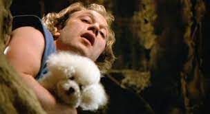 Lovable lamb trim one cake to create bottom part of lamb's body (rounded head and end with indent for neck). In The Movie Silence Of The Lambs Trivia Questions Quizzclub