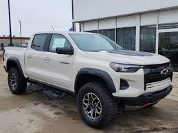 Image result for Beige 2009 Fleet