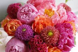 If you need professional help with completing any kind of homework, solution essays is the right place to get it. Long Stems Exceptional Floral Design In Merion