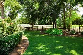 Maybe you would like to learn more about one of these? Best Grass To Grow In Shade Kellogg Garden Organics