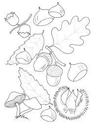 224 Disegni Sull Autunno Da Stampare E Colorare Coloring Pages Free Printable Coloring Pages Printable Coloring Pages