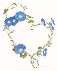 Morning Glory Tattoo Google Search Flower Vine Tattoos Morning Glory Tattoo Flower Drawing
