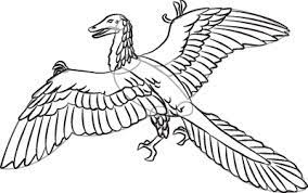 comment dessiner archaeopteryx en 7 etapes coloriage chef d&#x00027;orchestre