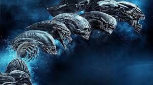 Alien (movie), xenomorph wallpapers hd / desktop and mobile backgrounds. Xenomorph Wallpapers Movies Entertainment Background Wallpapers On Desktop Nexus Image 2396507
