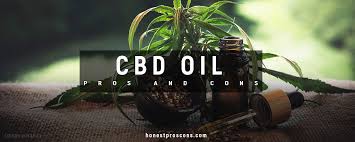 Organic cbd oil is legal in all fifty states and at least 35 countries worldwide. 10 Pros And Cons Of Cbd Oil