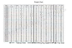 Chart Dachshund Weight Related Keywords Suggestions