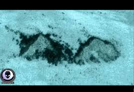 To pull of this feat google has partnered with the catlin seaview survey, who have built an incredible camera. Conspiracy Theorist Discovers Mysterious Underwater Pyramids Near Florida Using Google Earth Ibtimes India