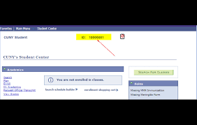 How Can Students View Their 8 Digit Cunyfirst Id (Emplid) And Email In  Cunyfirst? – The City University Of New York