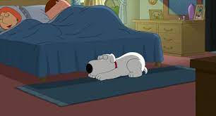 Pin By Fran Tenjo On Brian Family Guy Toddler Bed Cleveland Show