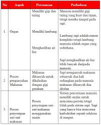 We did not find results for: Kunci Jawaban Tema 3 Kelas 5 Halaman 13 19