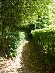 Here you can easily fill an afternoon with giggles and adventure among the greenery. The Tea Maze Crystal Palace Park My Search For Magic