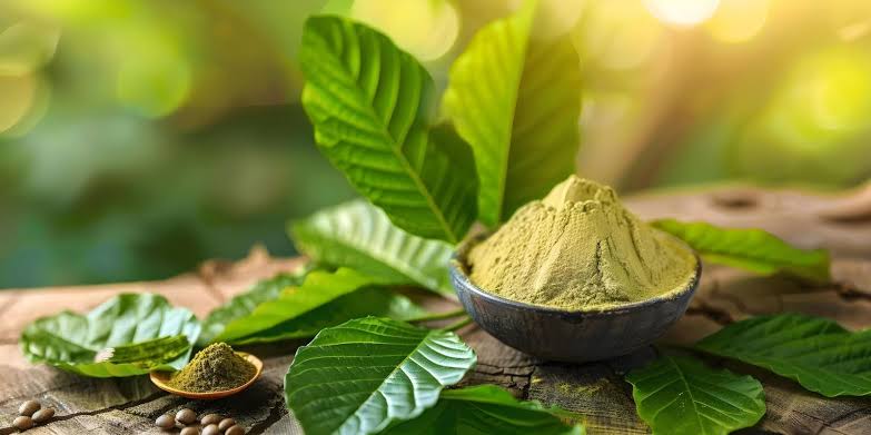 Best Kratom Powders of 2025: Top Kratom Products Reviewed
