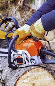 Starting your stihl chainsaw — cold start. My Chainsaw Won T Start Definitive Chainsaw Starting Guide