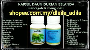 Daun durian belanda ubat kanser dan penyakit kronik. Kapsul Daun Durian Belanda Ndlife Shopee Malaysia