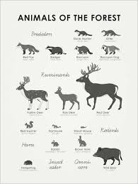 Maybe you would like to learn more about one of these? Forest Animals English Posters And Prints Posterlounge Com