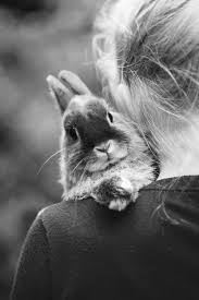 Black And White Bunny Names Boy Pin On Cute Overload