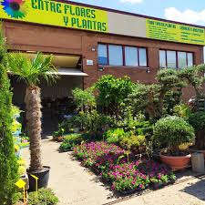 Entre Flores y Plantas