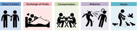 Different Modes Of Disease Transmission Direct Sneezing Indirect A Vector Transmission Directions Disease