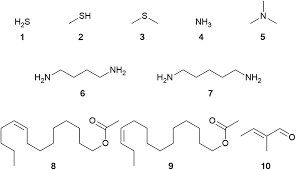 Station serving mbta subway lines at boylston st and tremont st, boston, ma. Identification Of Key Odorants In Complex Mixtures Occurring In Nature Natural Product Reports Rsc Publishing Doi 10 1039 D0np00020e