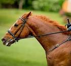 Thinline English Horse Reins | Non-Slip Rubber
