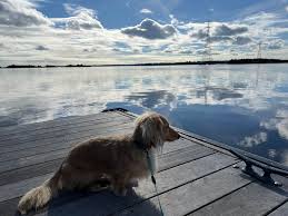 Beautiful December day