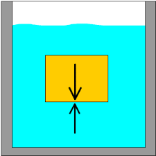 how objects float in fluids by ron
