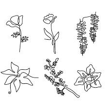 We did not find results for: Continuous Line Drawing Of Set Of Different Flowers Such As Sakura Tulip Camellia Azalea Etc Beautiful Blossoming Natural Floral Symbol Of Spring Isolated On White Background Minimalist Style 2216296 Vector Art At