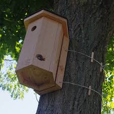 Nichoir A Mesanges Charbonnieres Avibox Symbiosphere Nichoir Mesange Nichoir Mesange Charbonniere