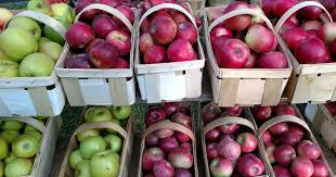 Check spelling or type a new query. 16 Super Fresh Farmers Markets For Fall Visit Buffalo Niagara