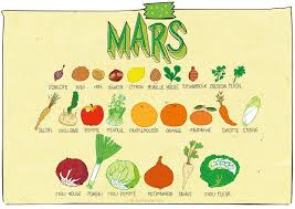 Mars Calendrier Des Fruits Et Legumes Pissenlit Fruits Et Legumes Fruits Et Legumes De Saison Legumes Janvier