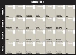 10 best printable insanity workout schedule printablee com