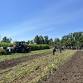 Midwest Organic Center Field Day