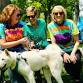 Makin’ Strides For Strays