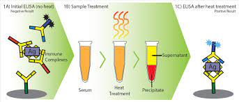 Heartworms have been diagnosed in all 50 states and in successfully treating heartworm disease in asymptomatic patients or those exhibiting signs of mild. Antigen Blocking And Heartworm Heat Treatment Antigen Elisa