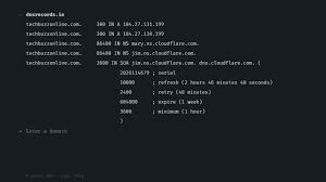 How To Check Dns Records Of A Domain Tech Buzz Online
