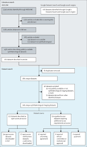 Seven data sets were identified as warranting further consideration for possible reanalysis. A Global Review Of Publicly Available Datasets For Ophthalmological Imaging Barriers To Access Usability And Generalisability Sciencedirect