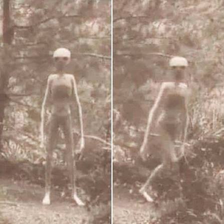 Alien yang dikabarkan difoto pada 25 Agustus 1970 di Gila National Forest, New Mexico, Amerika Serikat.