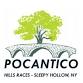 Pocantico Hills Races event image