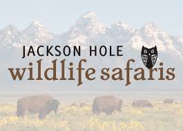 Join us for a jackson hole wildlife safari in yellowstone or grand teton national park. Jackson Hole Wildlife Safaris Visit Usa Parks