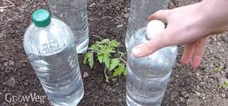 Use 3″ screws to make base of cold frame. How To Warm Soil And Protect Seedlings From Frost