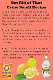 I Don T Understand How Guys Always Do This But This Will Help Get Rid Of That Smell You Wil Toilet Cleaning Hacks House Cleaning Tips Deep Cleaning Tips