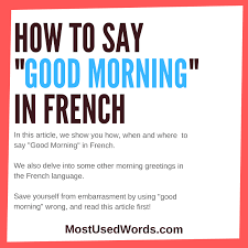 How To Say Good Morning In French A Short Guide On French Greetings In 2020 Learn French Learn French Fast Common French Words
