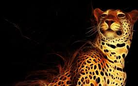Updated 3 month 0 day ago. Jaguar Animal Wallpaper