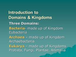 Introduction To Domains Kingdoms Three Domains Bacteria Made Up Of Kingdom Eubacteria Archaea Made Up Of Kingdom Archaebacteria Eukarya Made Up Ppt Download