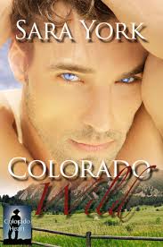 Colorado Wild (Colorado Heart, #1) by Sara York