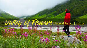 Maybe you would like to learn more about one of these? Valley Of Flowers Uttarakhand Youtube