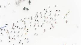 Volunteer for the Great Bear Chase