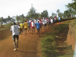Two of these runs are what i call quality runs and two are base maintenance runs. Long Slow Distance Programm Long Distance Runner Datasport