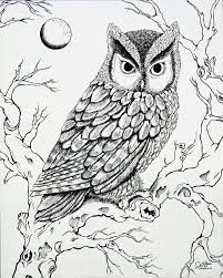 Maybe you would like to learn more about one of these? Pin By Ariel On About Owls Owls Drawing Owl Coloring Pages Owl
